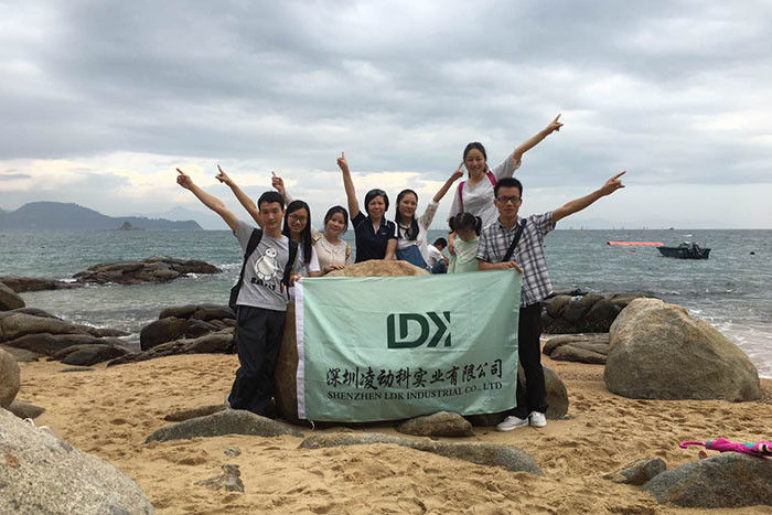 ประเทศจีน Shenzhen LDK Industrial Co., Ltd. รายละเอียด บริษัท