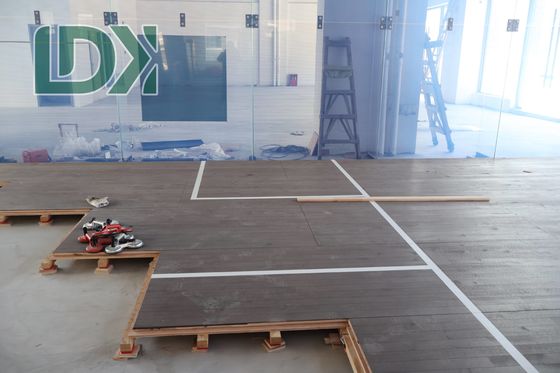 Standard Panoramic Squash Court Competition Training Squash Venue Blue GlassWall